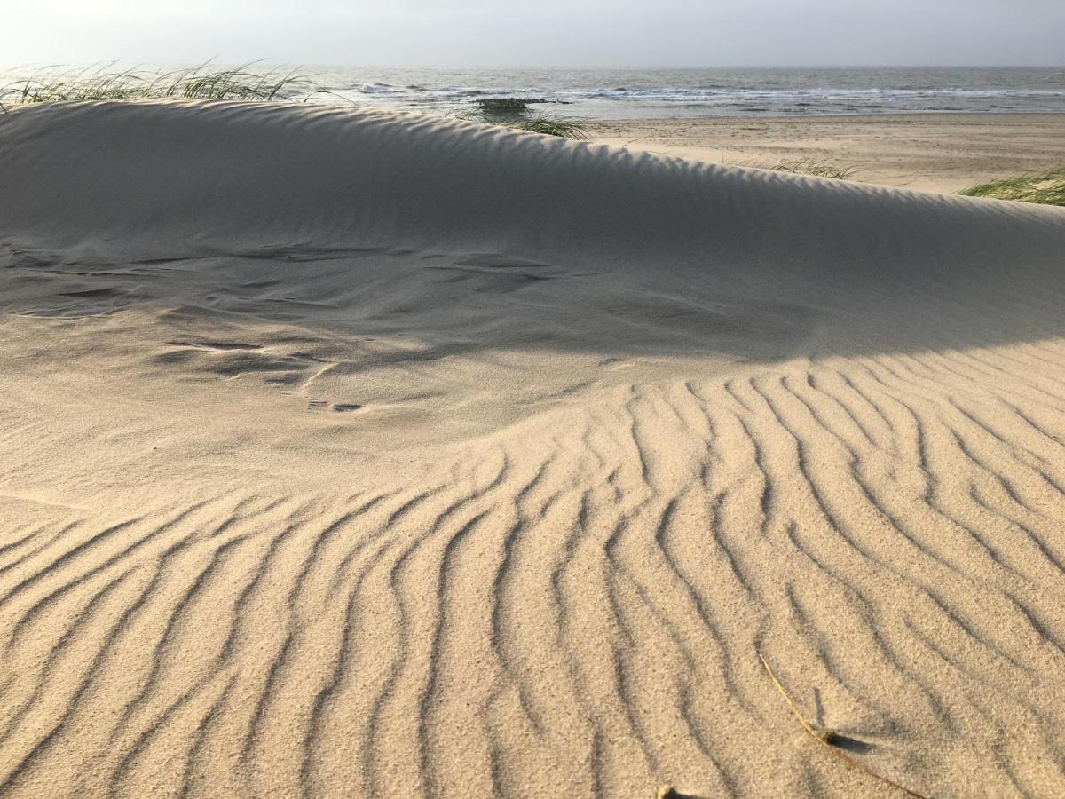 Fijne Studio Aan Zee 卡兰茨奥赫 外观 照片