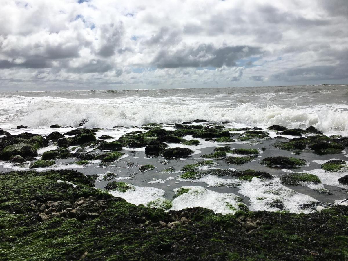 Fijne Studio Aan Zee 卡兰茨奥赫 外观 照片